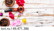 Tobacco pipe and smoking tobacco with rose flavor.Refined taste of tobacco. Smoking rose-flavored tobacco. Стоковое фото, агентство Ingram Publishing / Фотобанк Лори