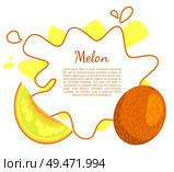 Melon poster with frame and place for text. Exotic juicy stone fruit vector isolated. Tropical sweet edible, fleshy food, dieting vector vegetarian. Melon Exotic Juicy Stone Fruit Vector Isolated. Стоковая иллюстрация, агентство Ingram Publishing / Фотобанк Лори