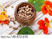 Seeds,leaves and flowers of nasturtium.Herbal medicine.Nasturtium plant with flowers. Seeds, and flowers of nasturtium. Стоковое фото, агентство Ingram Publishing / Фотобанк Лори