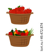Cucumber and apples in basket, harvesting season. Fruits and vegetables harvested in pannier. Ripe tomatoes, carrot and peppers, homegrown meal vector. Cucumber and Apples in Basket Vector Illustration. Стоковая иллюстрация, агентство Ingram Publishing / Фотобанк Лори