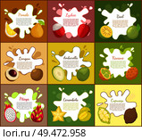 Pomelo and lychee, longan and pitaya, bael and ambarella. Cupuacu and kiwano, carambola tropical exotic fruits posters set with text sample vector. Pomelo and Lychee Posters Set Vector Illustration. Стоковая иллюстрация, агентство Ingram Publishing / Фотобанк Лори