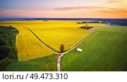 Old windmill in canola Flowering Field at spring sunrise. Aerial rural panorama. Field of rapeseed (brassica napus) with dirt roads. Yellow and green fields. Стоковое фото, агентство Ingram Publishing / Фотобанк Лори
