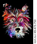 Pet portrait in bright colors on black background on subject of love, friendship, faithfulness, companionship between dog and man. God bless animals series. Стоковое фото, агентство Ingram Publishing / Фотобанк Лори