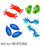 Crab and bean shaped bacteria, oviform and curly microbe through microscope isolated. Miniature life form germ cartoon projections pictoral poster.. Microscopic Life Form Germ Cartoon Projections. Стоковая иллюстрация, агентство Ingram Publishing / Фотобанк Лори