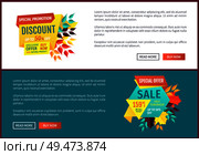 Special promotion discount posters set with text sample. Autumn proposition offer on natural products. Buy now only tomorrow half reduction vector. Special Promotion Discount Set Vector Illustration. Стоковая иллюстрация, агентство Ingram Publishing / Фотобанк Лори