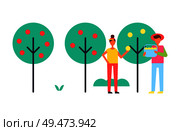 People taking care about trees vector icon. Adults shapes working in garden, couple in sportswear plucking fruit into basket, cartoon style badges. People Taking Care About Trees in Garden Icon. Стоковая иллюстрация, агентство Ingram Publishing / Фотобанк Лори