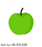 Apple green ripe fruit isolated icon vector. Fruitage product for healthy lifestyle containing vitamins and nutrients. Nutritious eating for people. Apple Green Ripe Fruit Icon Vector Illustration. Стоковая иллюстрация, агентство Ingram Publishing / Фотобанк Лори