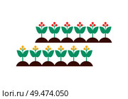 Flowers set blooming growing plants with leaves and petals. Flowering of blossom in ground. Agricultural care garden fluorescence isolated on vector. Flowers Set Blooming Growing Vector Illustration. Стоковая иллюстрация, агентство Ingram Publishing / Фотобанк Лори