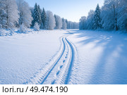 Winter forest landscape with snow covered trees and fresh snowmobile tracks in soft white snow on cold sunny morning. Стоковое AI-изображение, AI-художник Павел Муравьев / Фотобанк Лори