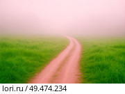 Curved dirt road in green field disappearing into pink morning fog, minimal dreamy landscape, countryside nature, hope, journey, path, simplicity, inspiration, outdoors. Стоковое AI-изображение, AI-художник Павел Муравьев / Фотобанк Лори