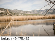 Wetlands with marsh vegetation in Mammoth route in Padul, Granada, Andalusia, Spain. Wetlands with marsh vegetation in Padul, Granada, Andalusia. Стоковое фото, агентство Ingram Publishing / Фотобанк Лори