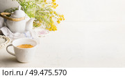 Herbal tea background with cup with yellow tea , tea pot and fresh herbs and flowers on white table at wall. Organic Tutsan tea. Wild medicinal plant concept. Copy space for your design or product. Стоковое фото, агентство Ingram Publishing / Фотобанк Лори