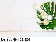 Coconut oil and cosmetics with green fresh tropical green leaves on white wooden background. Coconut oil nd cosmetics. Стоковое фото, агентство Ingram Publishing / Фотобанк Лори