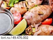 Grilled squid stuffed with vegetables.Seafood on plate.Closeup. Grilled squid with vegetables. Стоковое фото, агентство Ingram Publishing / Фотобанк Лори