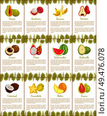 Pomelo and longan, coconut and citron, passion fruit and mango slice. Carambola and cupuacu, papaya and watermelon, salak and marang posters vector. Pomelo and Longan Posters Vector Illustration. Стоковая иллюстрация, агентство Ingram Publishing / Фотобанк Лори