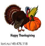 Happy Thanksgiving poster with text and turkey animal vector. Symbols of autumn holiday, corn maize with seeds and leaves and rounded big vegetable. Happy Thanksgiving Poster Turkey Animal Vector. Стоковая иллюстрация, агентство Ingram Publishing / Фотобанк Лори