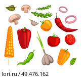 Vegetables veggies isolated icons set vector. Herbs and leaves mushroom pepper paprika and corn. Tomatoes garlic and onion rings vegs and greenery. Vegetables Veggies Icons Set Vector Illustration. Стоковая иллюстрация, агентство Ingram Publishing / Фотобанк Лори