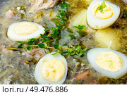 Ukrainian green borsch.Borsch with sorrel and nettles.Ukrainian cuisine.Diet sorrel soup with egg. Ukrainian green borsch. Стоковое фото, агентство Ingram Publishing / Фотобанк Лори