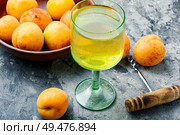 Alcoholic drinks.Apricot wine.Fruit wine or liquor in glass. Sweet apricot wine. Стоковое фото, агентство Ingram Publishing / Фотобанк Лори