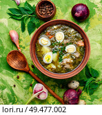 Ukrainian green borsch.Borsch with sorrel and nettles.Ukrainian cuisine. Sorrel soup in bowl. Стоковое фото, агентство Ingram Publishing / Фотобанк Лори