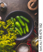 Close up of bowl with cucumber, dill, spices and salt to pickling and preserving on dark rustic background. Healthy fermented food concept. Harvest storing. Стоковое фото, агентство Ingram Publishing / Фотобанк Лори