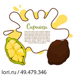 Cupuacu exotic cupuassu, cupuazu and copoasu, tropical rainforest fruit related to cacao vector poster frame and text. Dieting vegetarian icon, edible. Cupuacu Exotic Cupuassu, Cupuazu and Copoasu. Стоковая иллюстрация, агентство Ingram Publishing / Фотобанк Лори