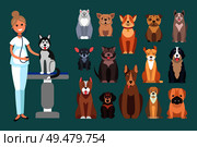 Veterinarian doctor checking up pet dog sitting on table vector. Clinic and care, animals treatment and curing of diseases, mammal checkup by nurse. Veterinarian Doctor Checking Up Pet Dog on Table. Стоковая иллюстрация, агентство Ingram Publishing / Фотобанк Лори