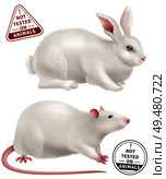 White rabbit and rat realistic icons and stamps with text not tested on animals vector illustration . Not Tested On Animals Realistic Icons. Стоковая иллюстрация, агентство Ingram Publishing / Фотобанк Лори