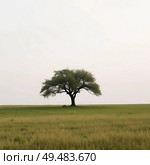 Savannah. Lonely tree on the plain. Minimalism in landscape. Стоковое AI-изображение, AI-художник Анастасия / Фотобанк Лори