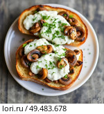 Plate of cream cheese and mushroom sandwiches. Top view. Стоковое AI-изображение, AI-художник Анастасия / Фотобанк Лори