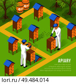 Beekeepers in protective clothing at apiary during work with hives and swarms of bees isometric vector illustration. Стоковая иллюстрация, агентство Ingram Publishing / Фотобанк Лори