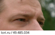 Handsome middle-aged man posing looking at camera in park foliage. Outdoor male portrait. Face close up eyes, nose, brow. Nordic Scandinavian beauty guy. Thoughtful looker. Beautiful diversity people. Стоковое видео, видеограф Марина Демидюк / Фотобанк Лори