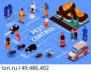 Pest control home office disinfection service isomeric flowchart with professional team equipment car insect rats vector illustration. Стоковая иллюстрация, агентство Ingram Publishing / Фотобанк Лори