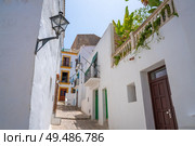 Ibiza Eivissa downtown Dalt Vila facades in Balearic Islands. Стоковое фото, агентство Ingram Publishing / Фотобанк Лори