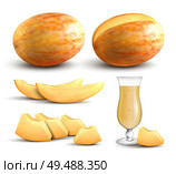 Ripe fresh yellow meloen whole segments bite sized pieces and juice realistic closeup images collection vector illustration. Стоковая иллюстрация, агентство Ingram Publishing / Фотобанк Лори