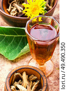 Roots and rhizomes of elecampane.Healing drink from the roots and rhizomes of inula. Healing tincture inula. Стоковое фото, агентство Ingram Publishing / Фотобанк Лори