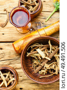 Roots and rhizomes of elecampane.Medicinal plant inula.Preparation of medicine from the roots of inula. Healing tincture inula. Стоковое фото, агентство Ingram Publishing / Фотобанк Лори