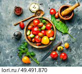 Marinated tomatoes with spices.Canning tomatoes.Pickling of ripe tomatoes. Autumn tomato preservation. Стоковое фото, агентство Ingram Publishing / Фотобанк Лори