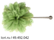 coconut palm tree isolated on white background. top view. 3d illustration. Стоковое фото, агентство Ingram Publishing / Фотобанк Лори