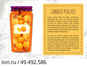 Canned peaches preserved in jar with lace and sticker. Fruit conservation and storage. Canning of food to eat poster with text sample in block vector. Canned Peaches in Jar Poster Vector Illustration. Стоковая иллюстрация, агентство Ingram Publishing / Фотобанк Лори