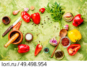 Autumn harvest of pepper.Canning red pepper.Pickled vegetables. Autumn canning pepper. Стоковое фото, агентство Ingram Publishing / Фотобанк Лори
