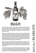 Bottled beer with wheat and hop decoration monochrome vector illustration in sketch style, brew house poster with text sample on white background.. Bottled Beer with Wheat and Hop Decoration Poster. Стоковая иллюстрация, агентство Ingram Publishing / Фотобанк Лори