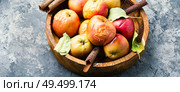 Baked apples with cinnamon and nuts.Autumn food. Red baked apples. Стоковое фото, агентство Ingram Publishing / Фотобанк Лори