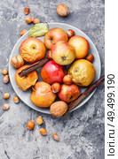Baked apples with cinnamon and nuts.Fruit dessert baked red apples. Red baked apples. Стоковое фото, агентство Ingram Publishing / Фотобанк Лори