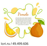 Pomelo exotic fruit vector poster with frame and place for text. Tropical food, similar to grapefruit or pear, dieting vegetarian citrus with leaf. Pomelo Exotic Fruit Vector Tropical Food Poster. Стоковая иллюстрация, агентство Ingram Publishing / Фотобанк Лори
