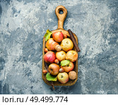Baked apples with cinnamon and nuts.Fruit dessert baked red apples. Red baked apples. Стоковое фото, агентство Ingram Publishing / Фотобанк Лори