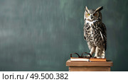 An owl is perched on top of a book, showcasing a unique and interesting interaction between the bird and literature. Стоковое AI-изображение, AI-художник Данила Большаков / Фотобанк Лори