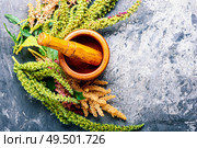 Amaranth or amaranthus.Medicinal herbs, herbal medicine.Amaranth inflorescences on a table with mortars. Amaranth and herbal medicine. Стоковое фото, агентство Ingram Publishing / Фотобанк Лори