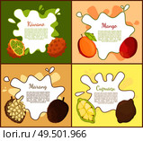 Kiwano and mango, marang and cupuacu posters set with editable text sample. Healthy organic tropical fruits. Nutritious exotic fresh products vector. Kiwano and Mango Posters Set Vector Illustration. Стоковая иллюстрация, агентство Ingram Publishing / Фотобанк Лори