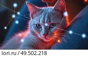 An AI therapy cat with thermo-reactive fur purrs rhythmically against a veteran's chest in a dim PTSD support group room. Cat sitting on human chest and arms. Стоковое AI-видео, аниматор Sergey Grishin / Фотобанк Лори
